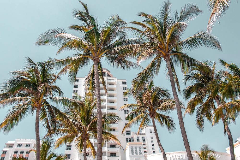 High-Impact South Beach Billboard Advertising